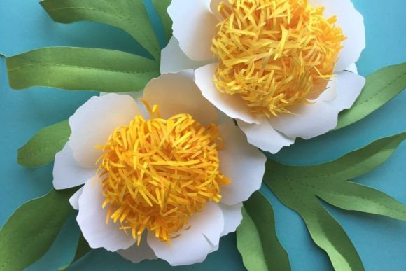 Peony Paper Flower Review