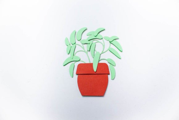 Potted Sage Layered Plant Review