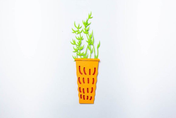 Potted Thyme Layered Plant Review