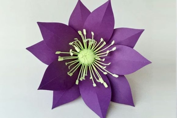 Trumpet Flower Hellebore Embroidery Review
