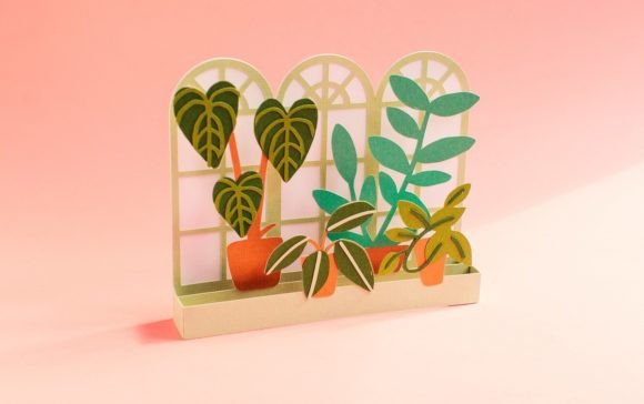 Window Pane with Plants Box Card Review